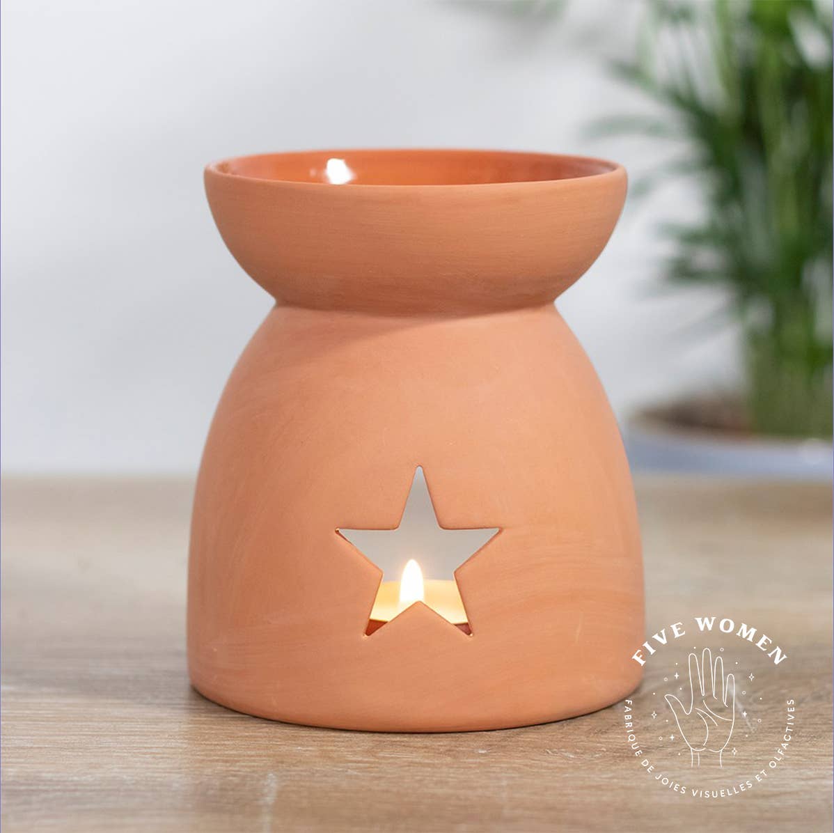 Brûle-parfum pour cire parfumée, brûleur à huile: Terracotta étoile